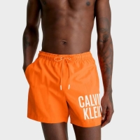 CALVIN KLEIN INTENSE POWER MEDIUM SWIM SHORT