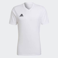 ADIDAS MENS ENTRADA 22 JERSEY