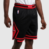 NIKE JORDAN MENS CHICAGOI BULLS SHORT STMT 20