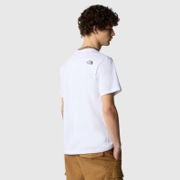 THE NORTH FACE MENS MOUNTAIN LINE TEE