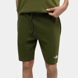 THE NORTH FACE MENS GRAPHIC SHORT LIGT