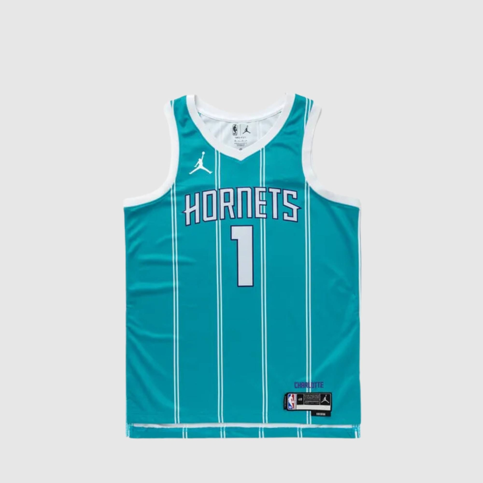 NIKE CHARLOTTE HORNETS ICON EDITION