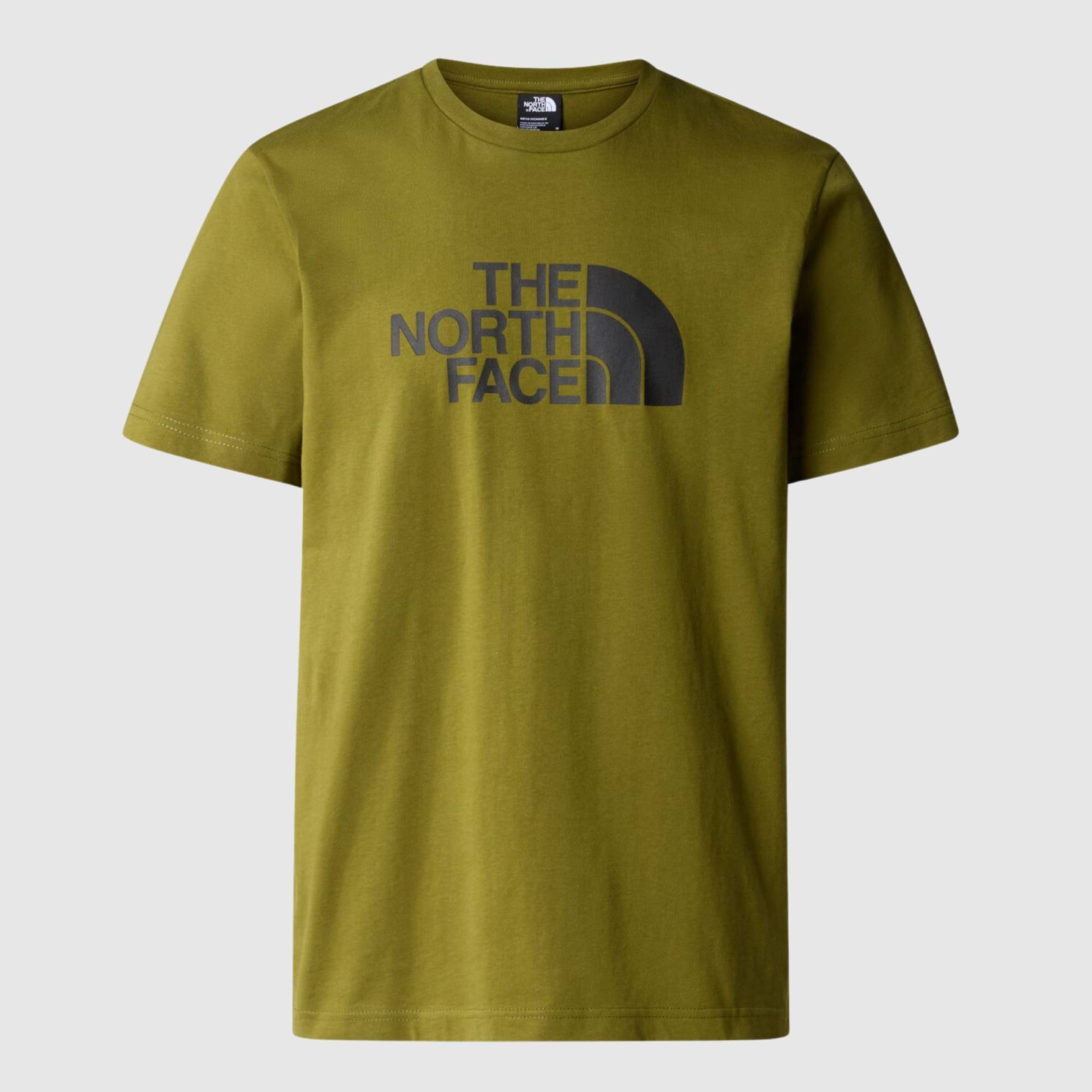 THE NORTH FACE MENS EASY TEE