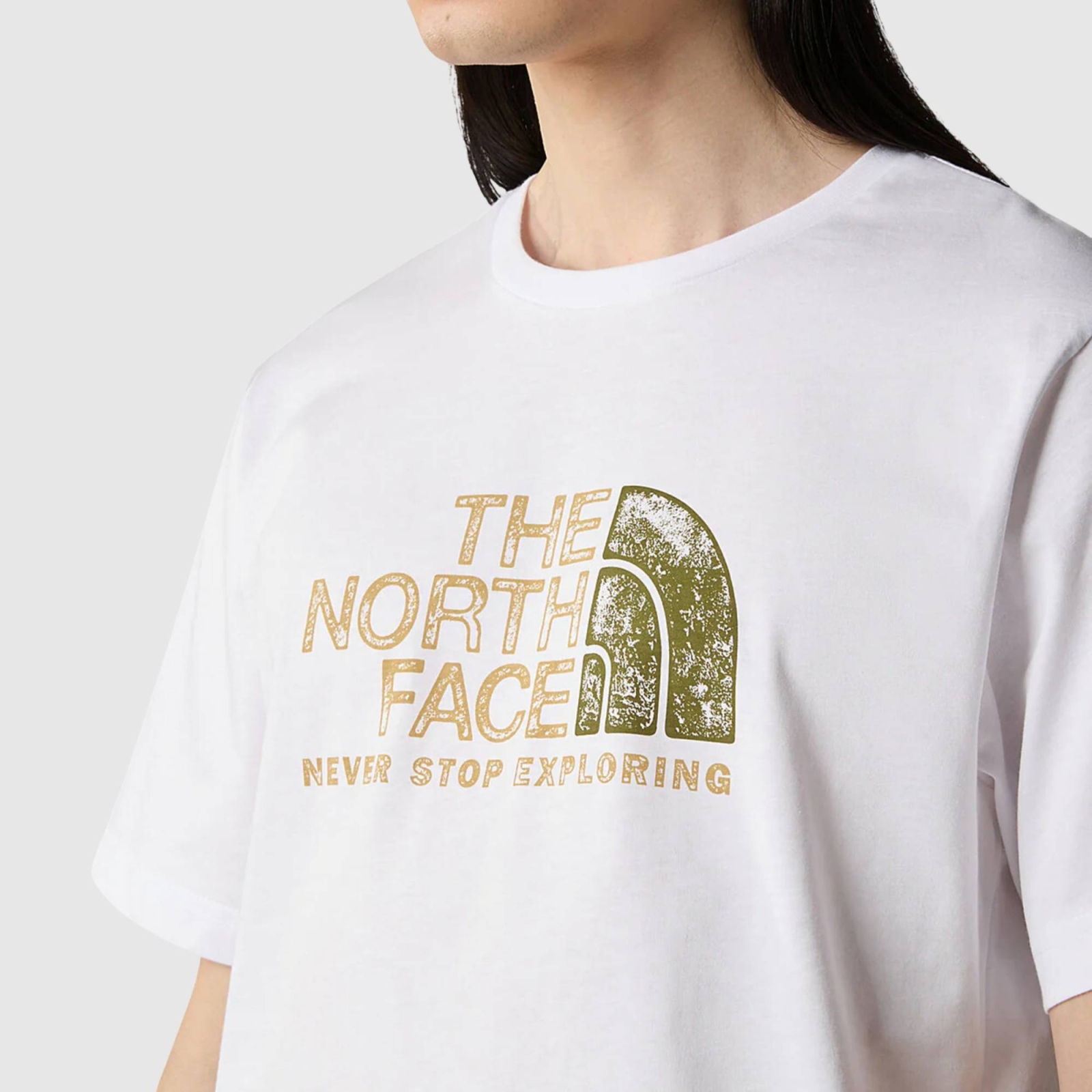 THE NORTH FACE MENS RUST 2 TEE