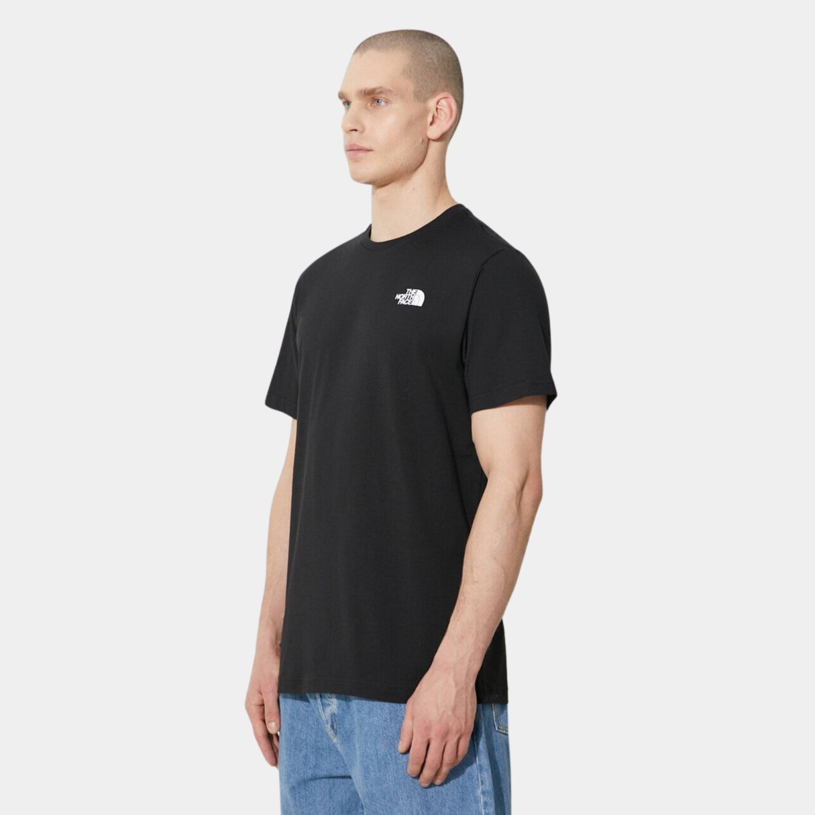 THE NORTH FACE MENS REDBOX TEE