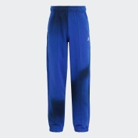 ADIDAS JUNIOR ARKD3 PANT