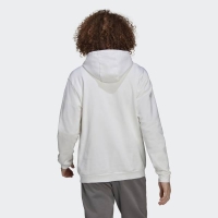 ADIDAS ENTRADA 22 HOODIE