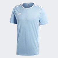 ADIDAS MENS ENTRADA 18 JERSEY