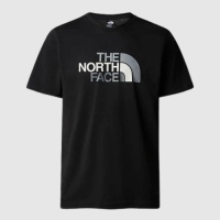 THE NORTH FACE MENS EASY TEE