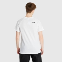 THE NORTH FACE MENS RAGLAN REDBOX TEE