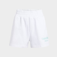 CALVIN KLEIN STACKED INSTITUTIONAL SHORTS