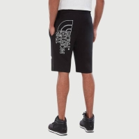 THE NORTH FACE MENS GRAPHIC SHORT