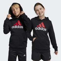 ADIDAS JUNIOR BIG LOGO 2 HOODIE