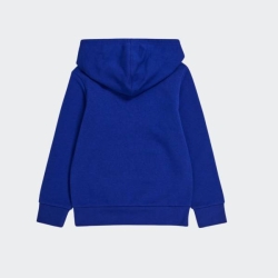 CHAMPION BOYS AMERICAN CLASSICS HOODED SWEATSHIRT