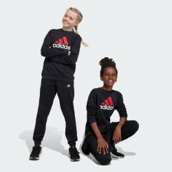 ADIDAS JUNIOR BIG LOGO FLEECE SET