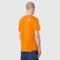 THE NORTH FACE MENS EASY TEE