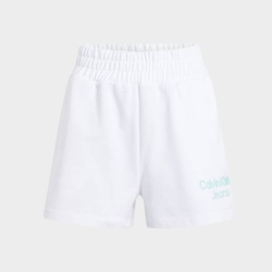 CALVIN KLEIN STACKED INSTITUTIONAL SHORTS