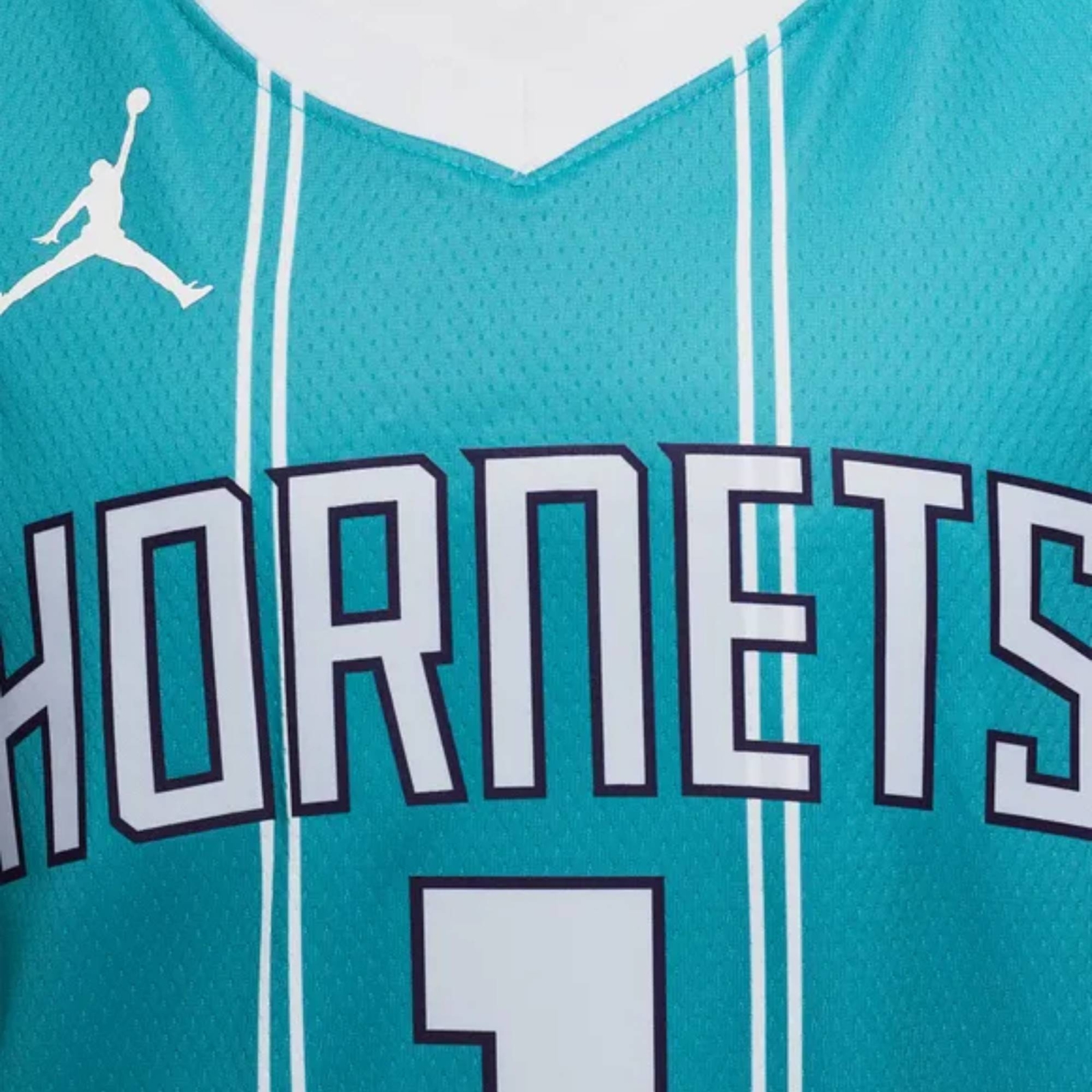 NIKE CHARLOTTE HORNETS ICON EDITION