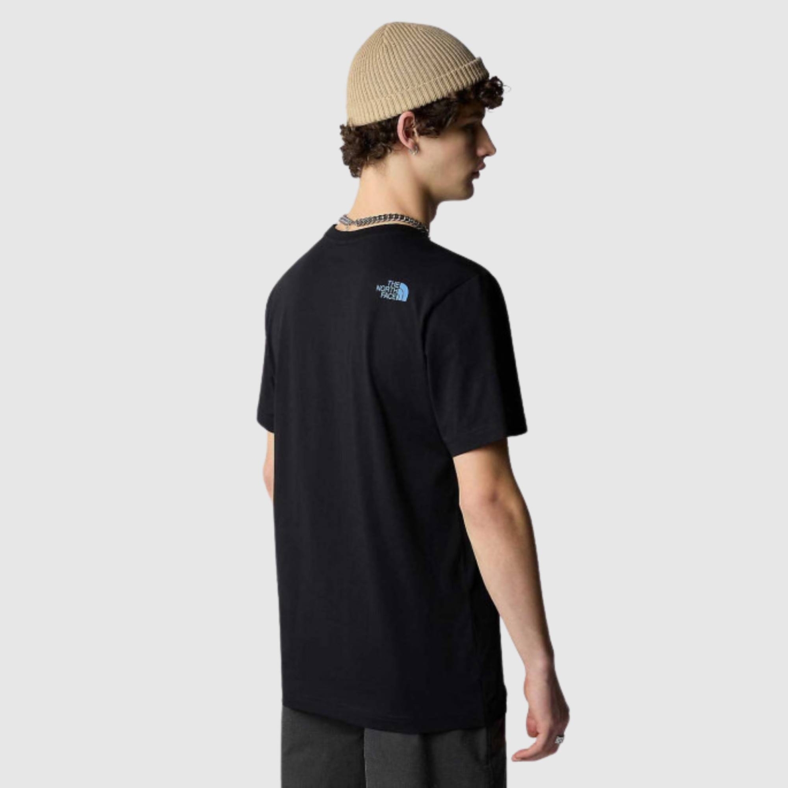 THE NORTH FACE MENS MOUNTAIN LINE TEE