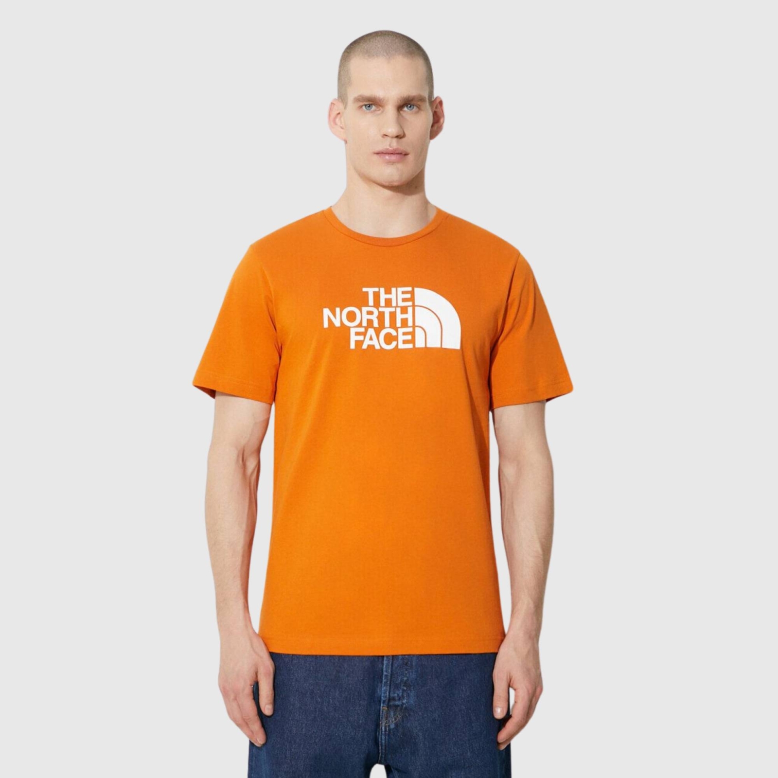 THE NORTH FACE MENS EASY TEE