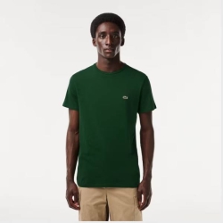 LACOSTE TEE-SHIRT CORE COLLECTION