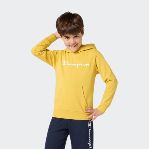 CHAMPION HOODED SWEATSHIRT
