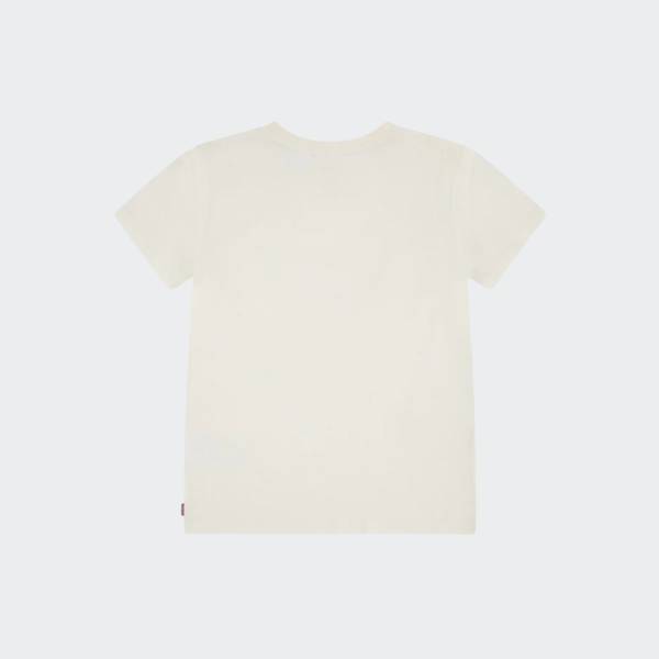 LEVI'S OMBRE BATWING TSHIRT