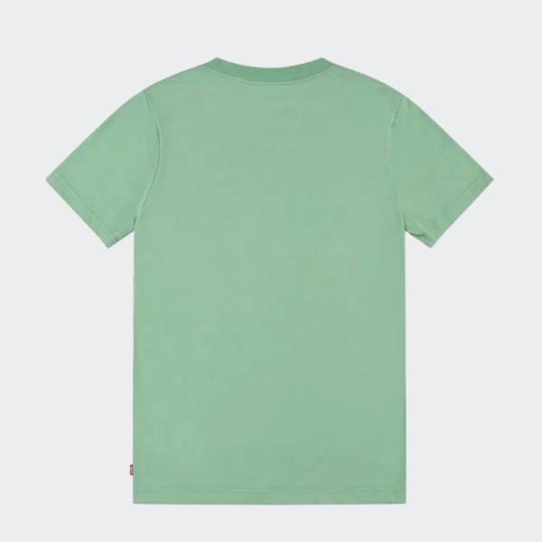 LEVI'S BATWING TSHIRT