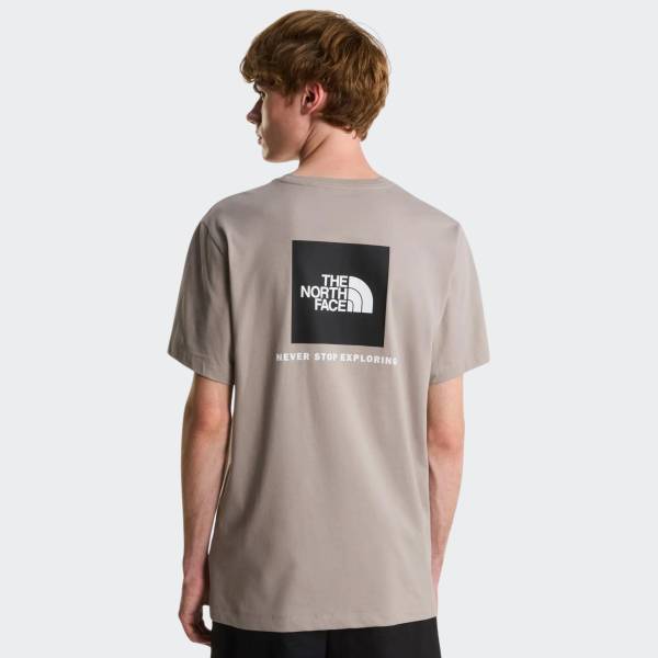 THE NORTH FACE EVO BOX TEE