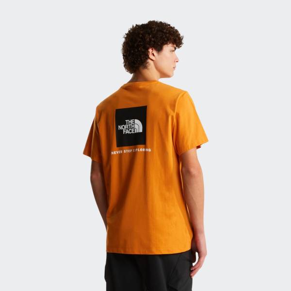 THE NORTH FACE EVO BOX TEE