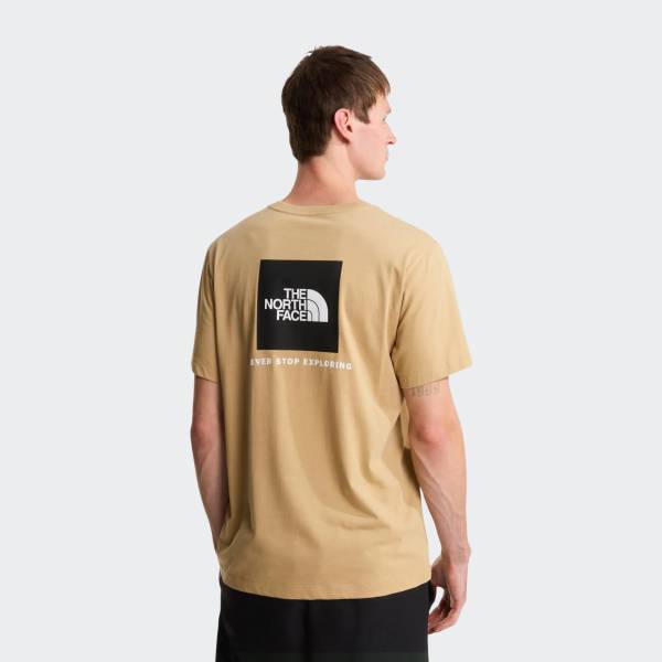THE NORTH FACE EVO BOX TEE