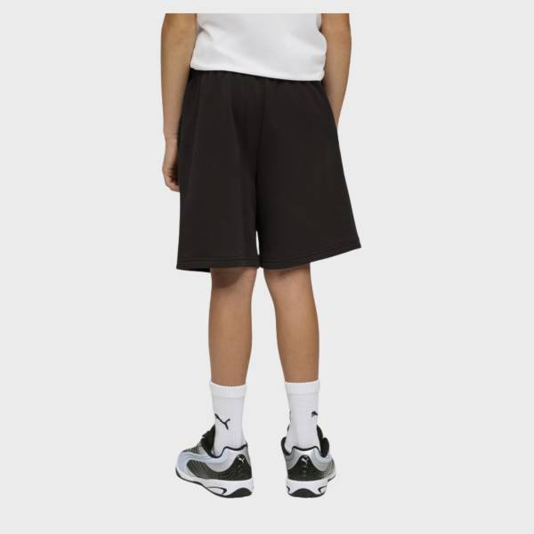 PUMA ESSENTIAL LOGO LAB RELAXED SHORTS BOYS