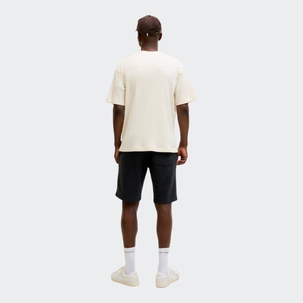 JACK & JONES GORDON BRANDON SWEAT SHORTS
