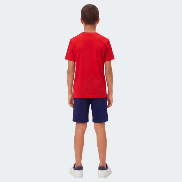 CHAMPION GRAPHIC GALLERY SET