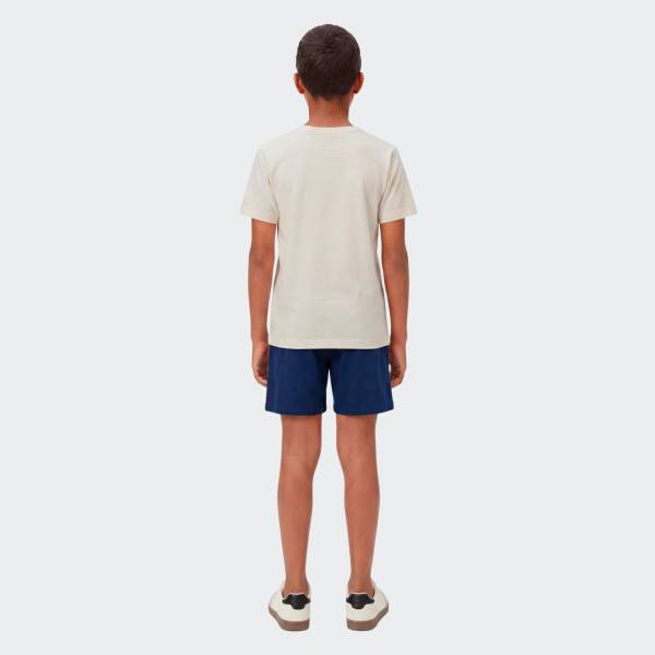 CHAMPION GRAPHIC GALLERY SET