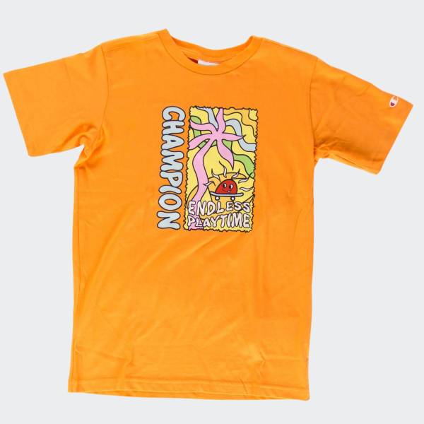 CHAMPION BACK TO THE  BEACH SET