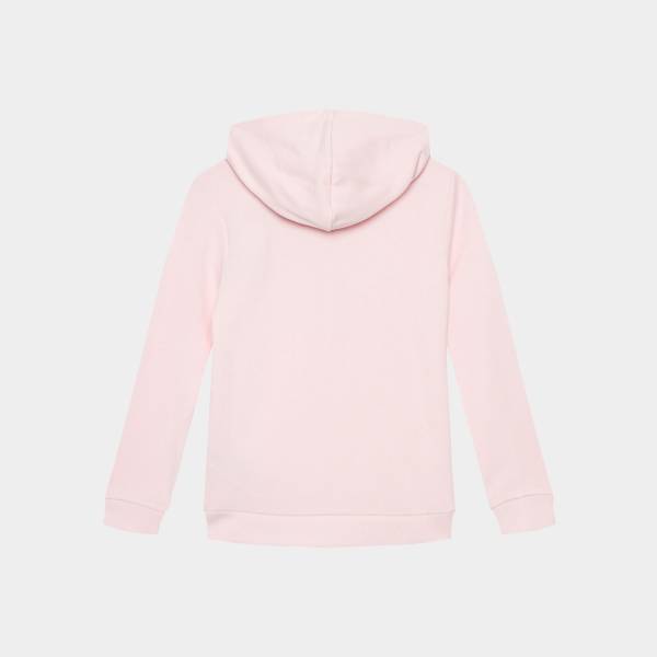 GUESS GIRLS CORE HOODED SWEAT