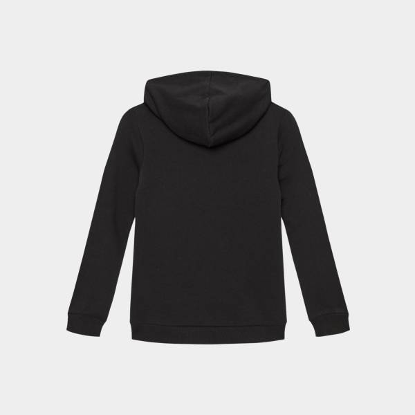 GUESS GIRLS CORE HOODED SWEAT